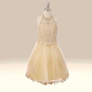 Champagne beaded sequin short dress